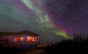 Kanada | Manitoba - Herbst-Lodgesafari im Eisbärenland Kanada | Manitoba - Herbst-Lodgesafari im Eisbärenland